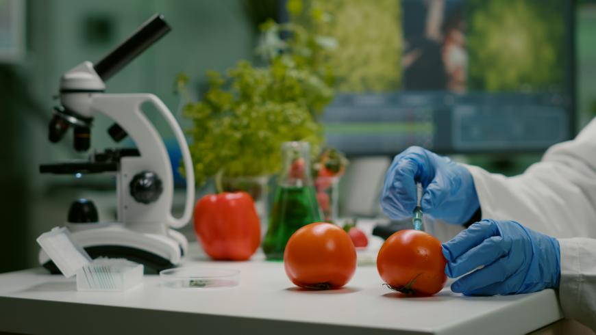 Autumn school in Food chemistry